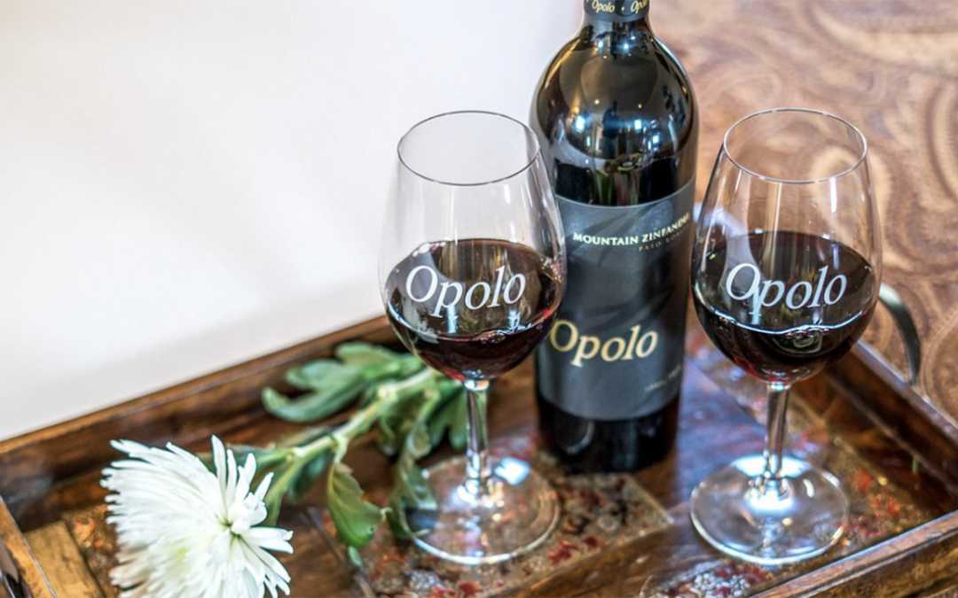 Wine Tasting – Opolo Vineyards